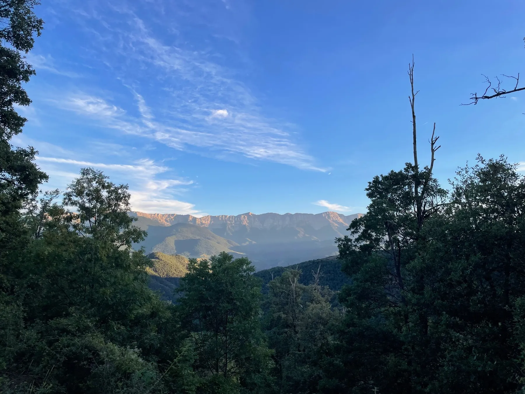 Vall de la Cerdanya sota la neu